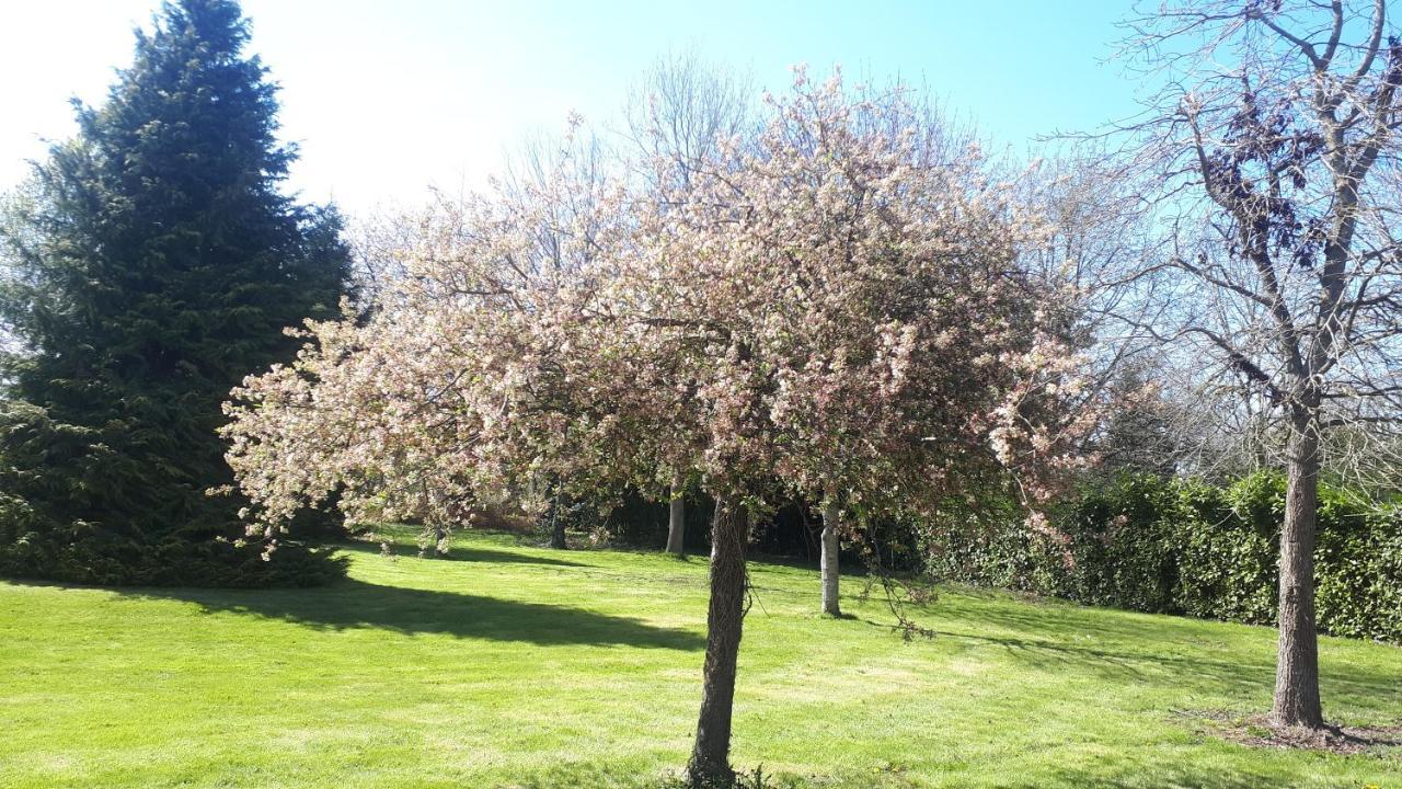 Gite De Bon Air Sens-de-Bretagne Exterior foto